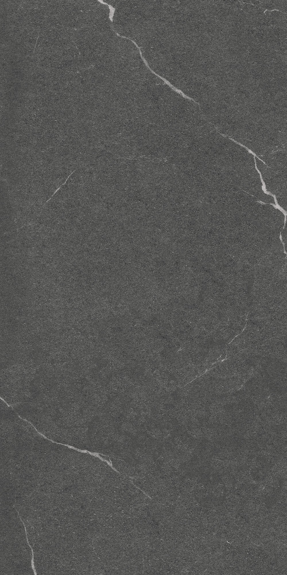 GT1206014305MCR На пол Lakeside Черный 60x120 - фото 2