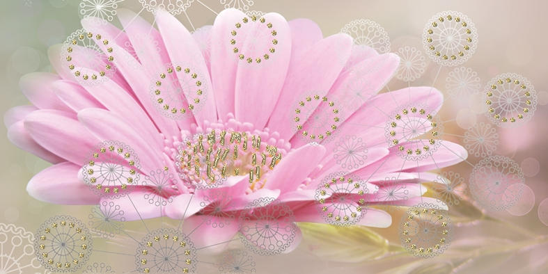 04-01-1-08-05-23-370-1 Декор Мечта Песочный цветок