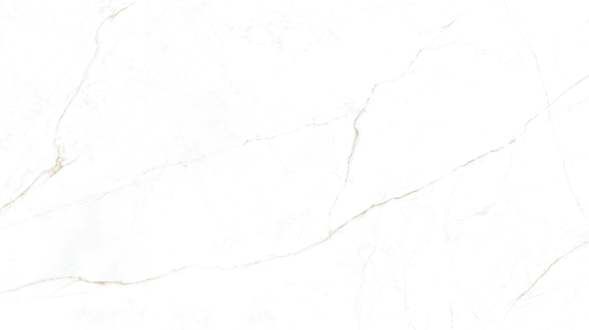 31744 На пол Museum Dual White SP/R 100х180 - фото 5