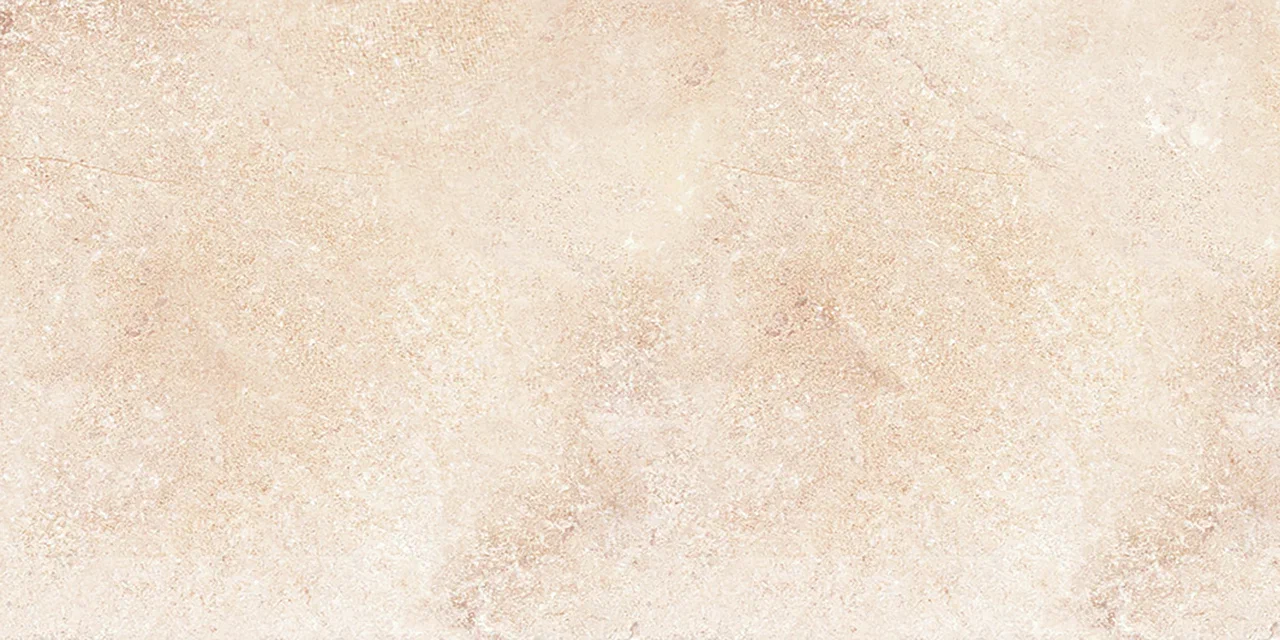 На пол Шунут Beige MR 1200x600 - фото 9