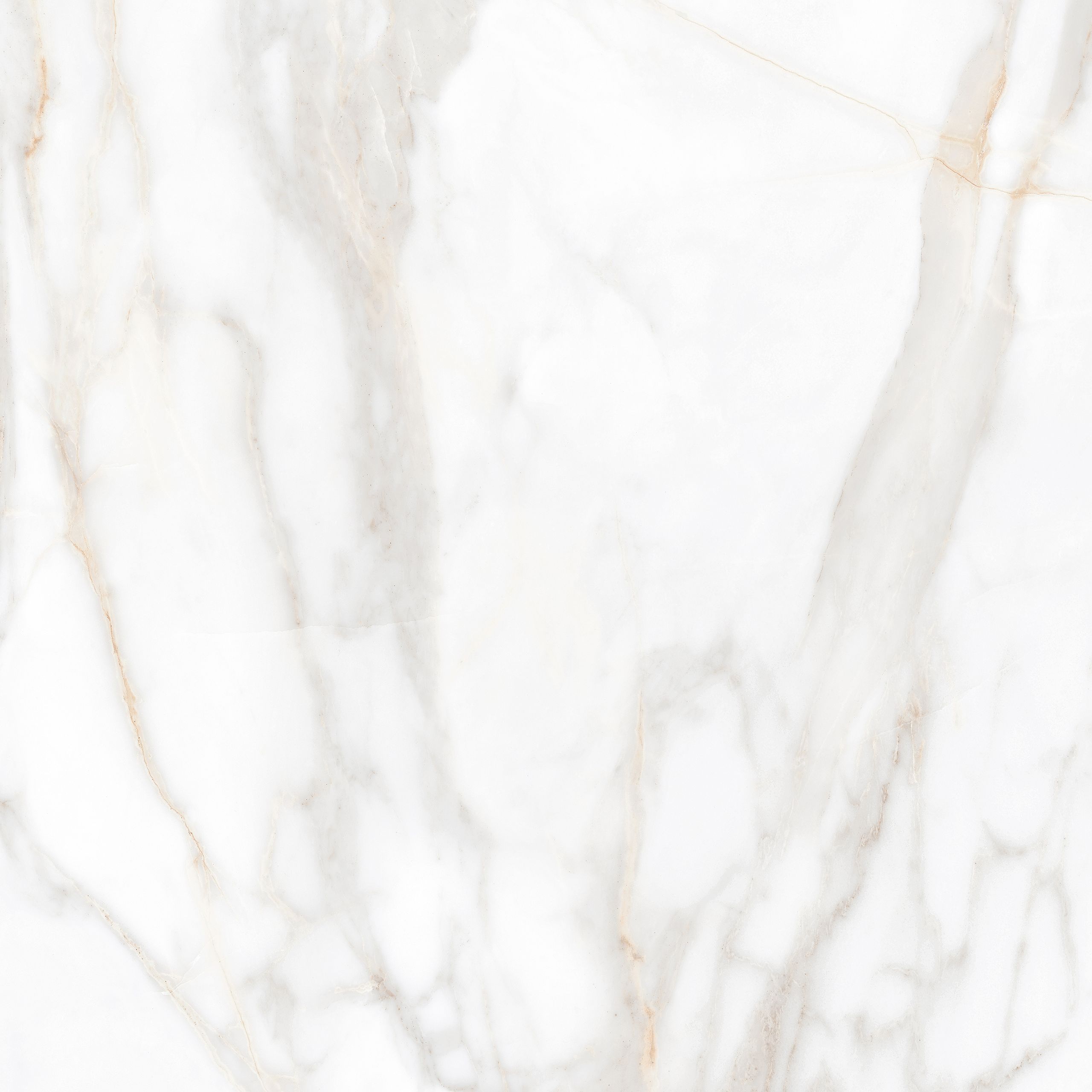 SM02/PS_NC/60x60x10R/GW На пол Supreme SM02 Gold 60x60  Полированный - фото 14