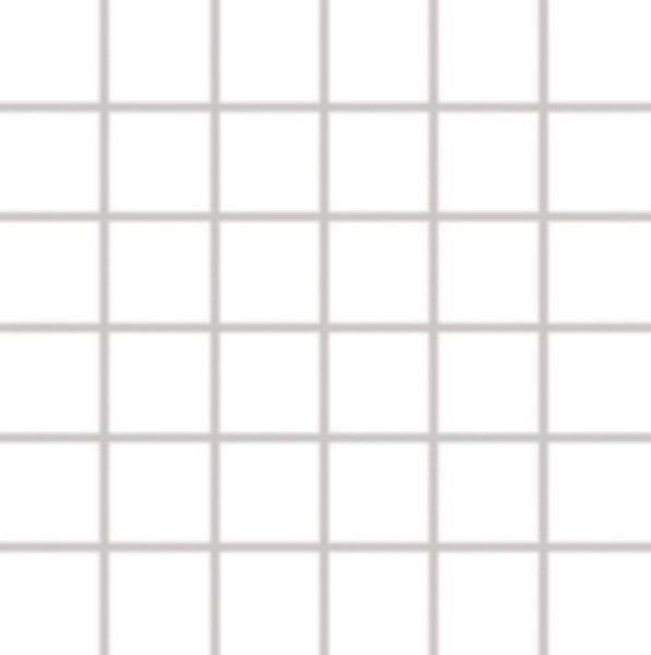 GDM05023 На пол Pool На сетке Ral WHITE 5x5