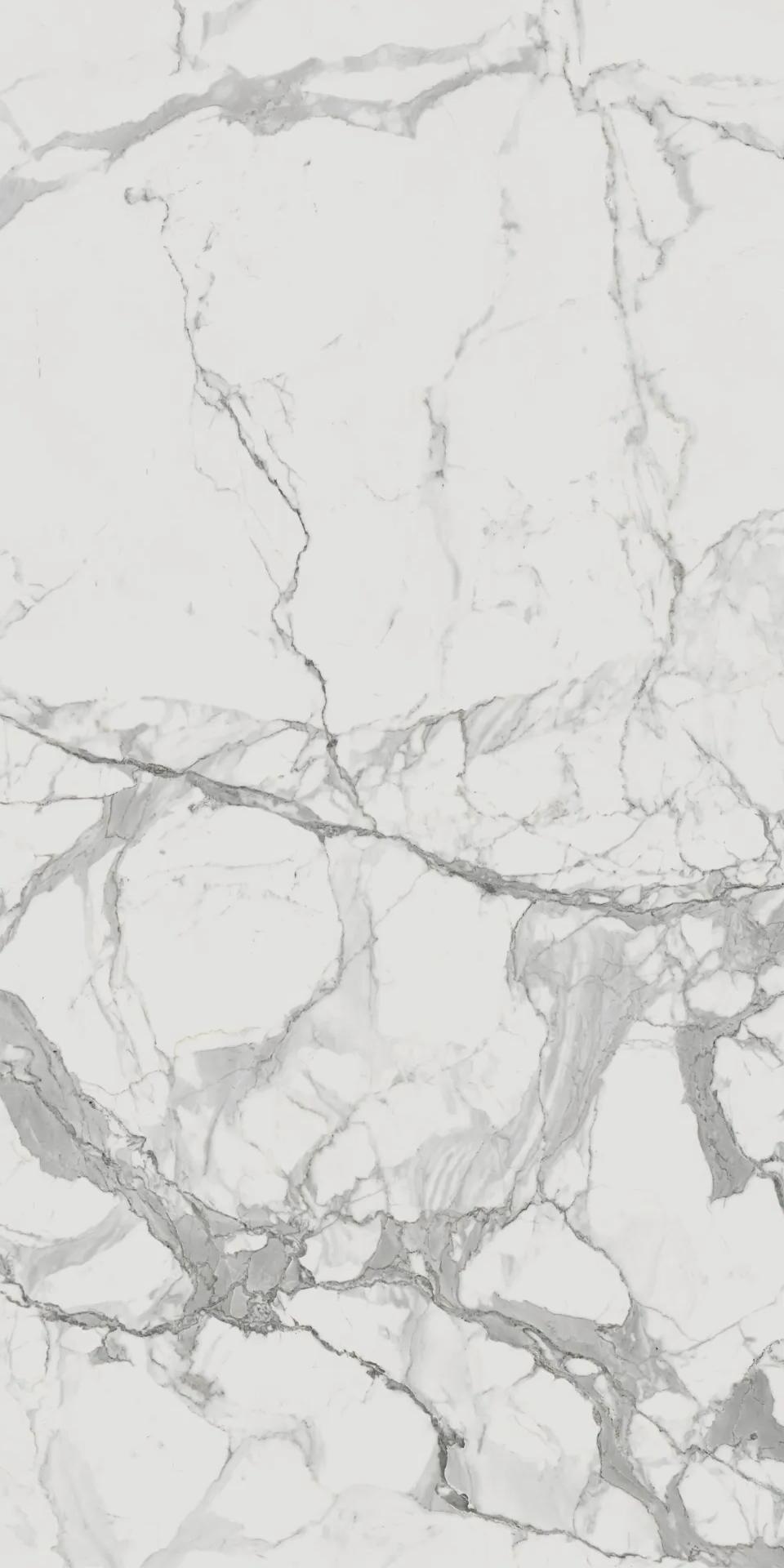 610010001682 На пол Charme Evo Floor Project Статуарио 80x160 Натуральный и Реттифицированный - фото 4