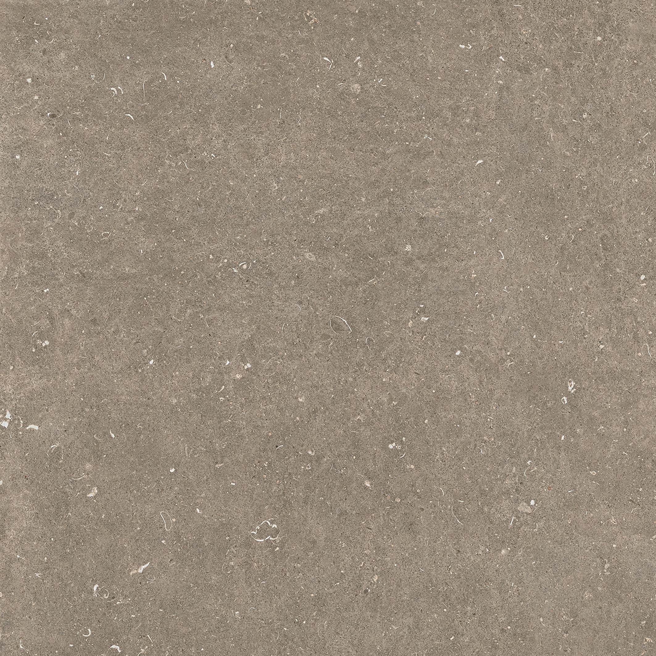 785580 На пол Rinascenza Arena Pietra Matte 6mm 120x120