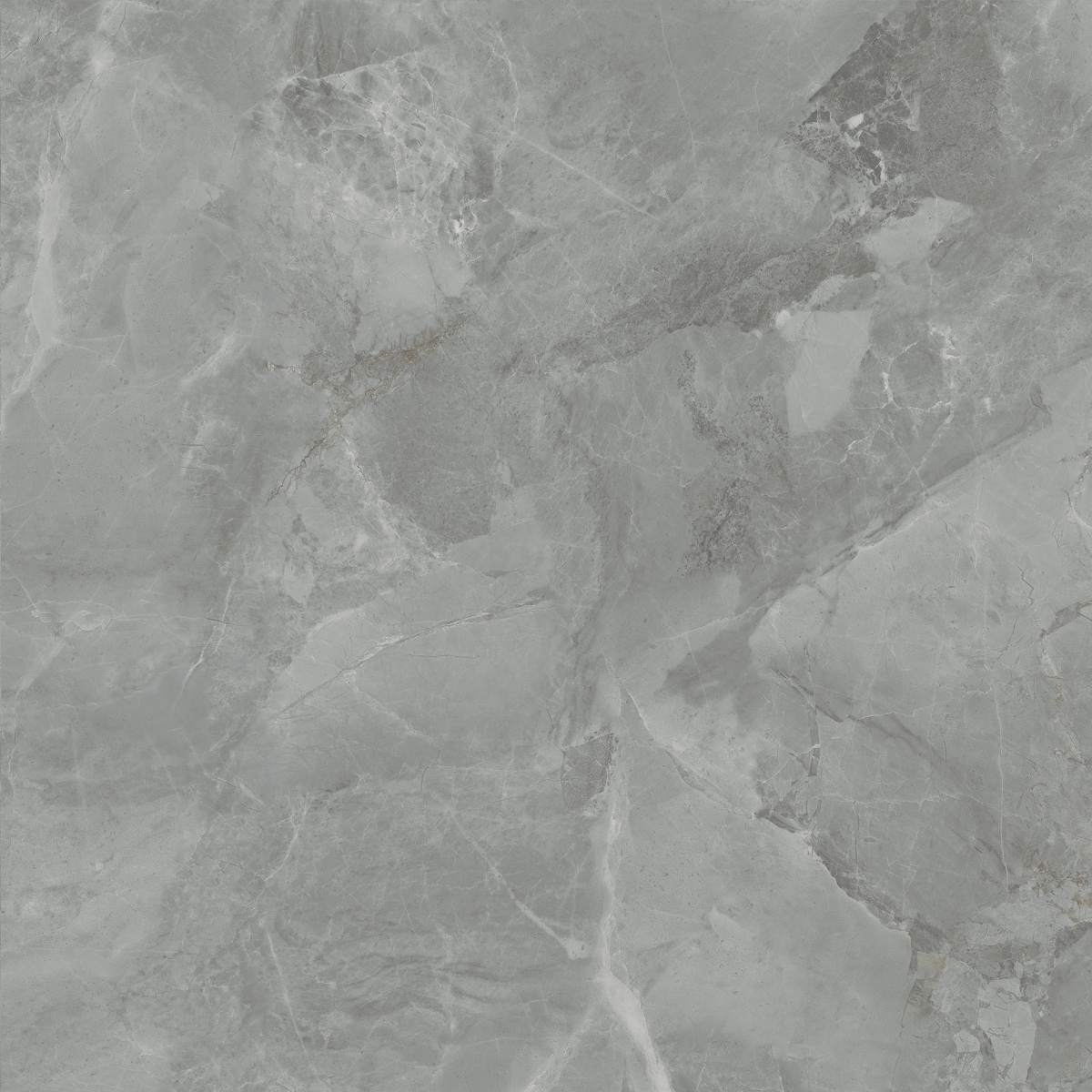 CR6060G0401R На пол Regnum Grigio серый матовый 59.5х59.5 - фото 5