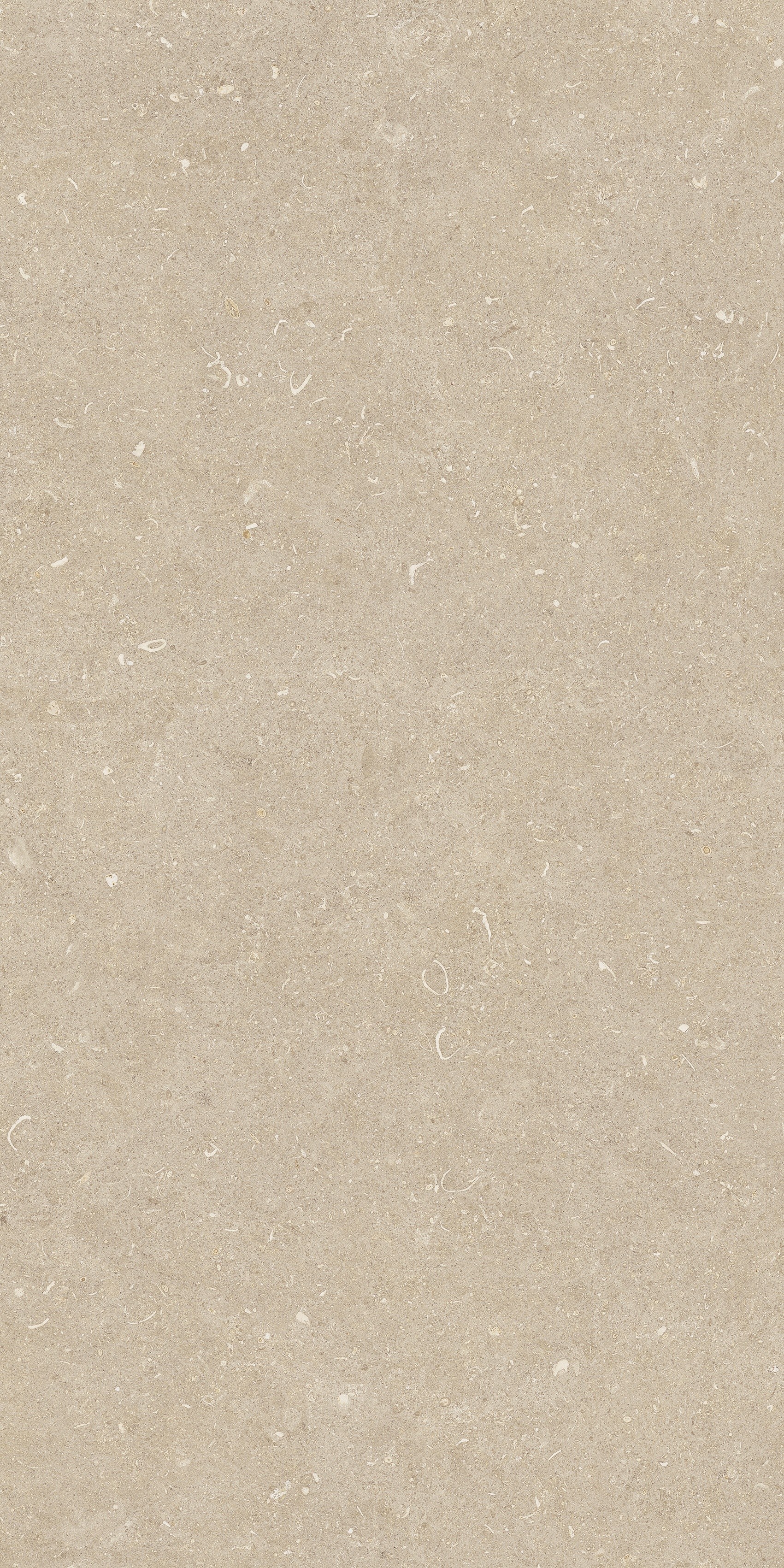 785481 На пол Rinascenza Arena Conchiglia Matte 60x120 - фото 6