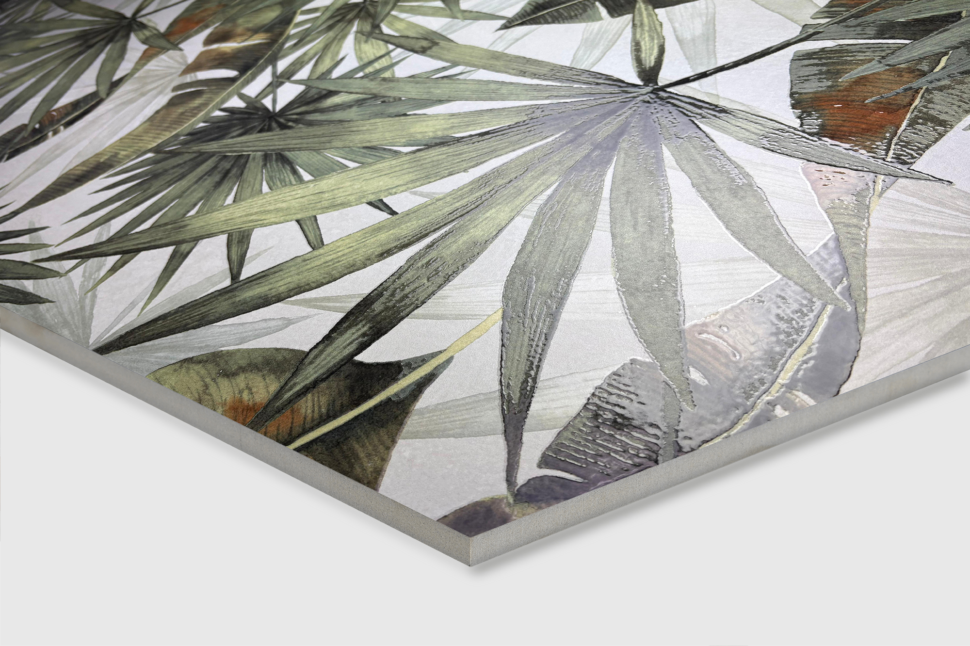 Creanza Bierzo - фото 5