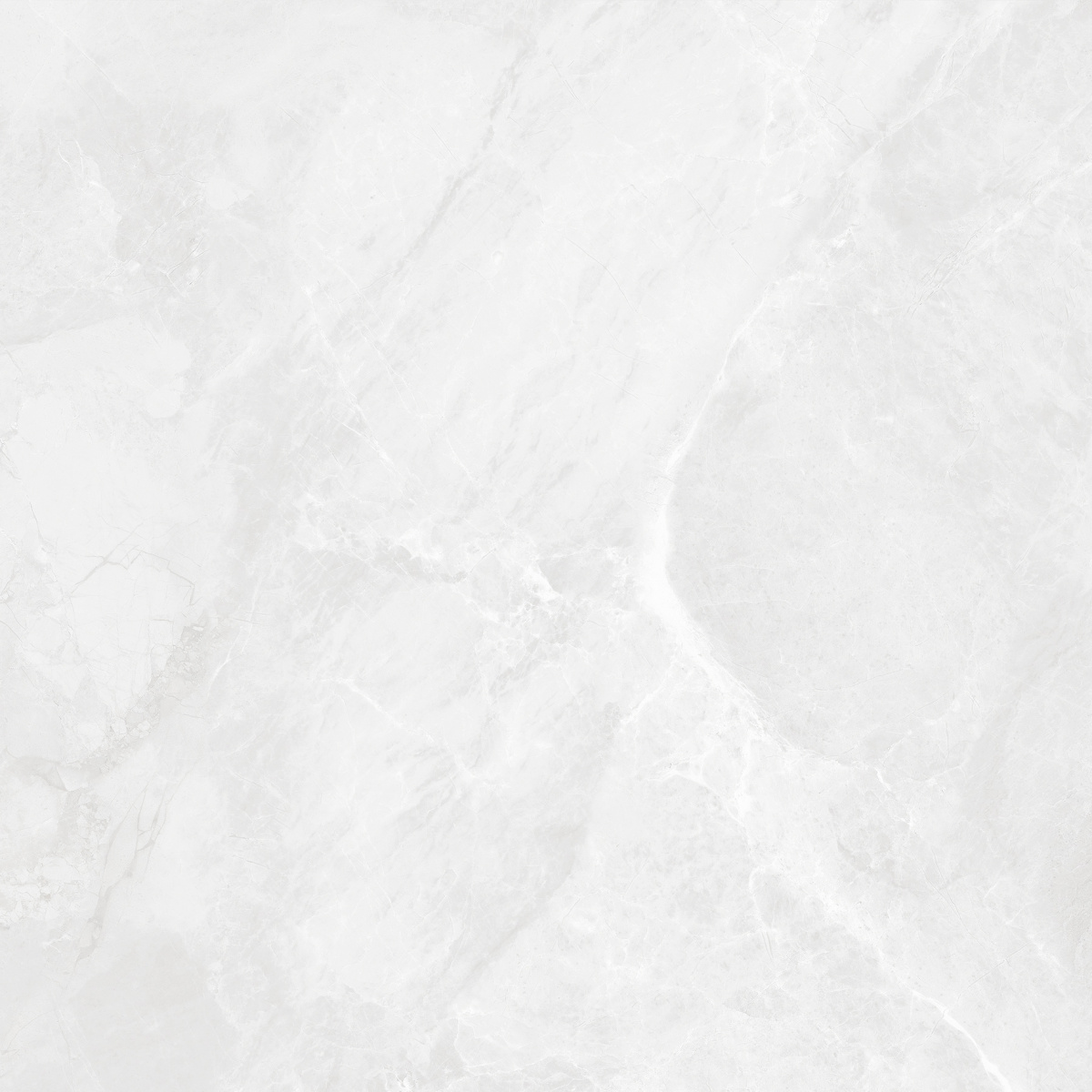 CR6060G0391R На пол Regnum Bianco светло-серый матовый 59.5х59.5 - фото 12