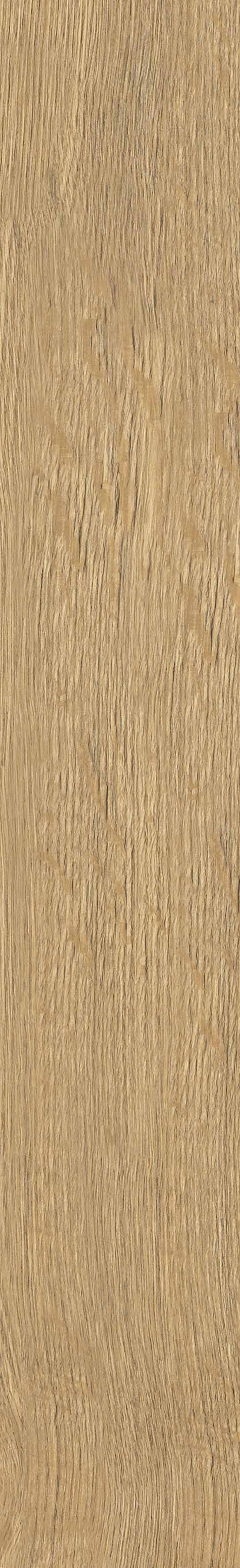 SGR29 На пол Aurevia SGR29 Gold 9.2x60 - фото 3