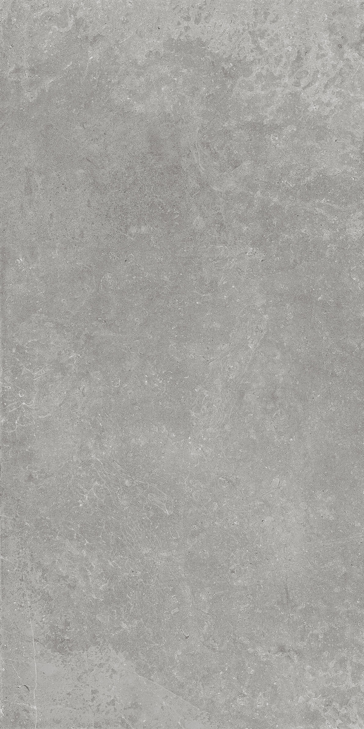 GT1206017691MR На пол Fabula Серый матовый рельеф 60x120 - фото 2