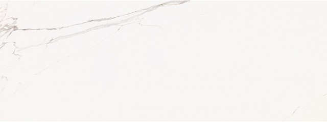 V30800631 На стену Artic Nature 45x120