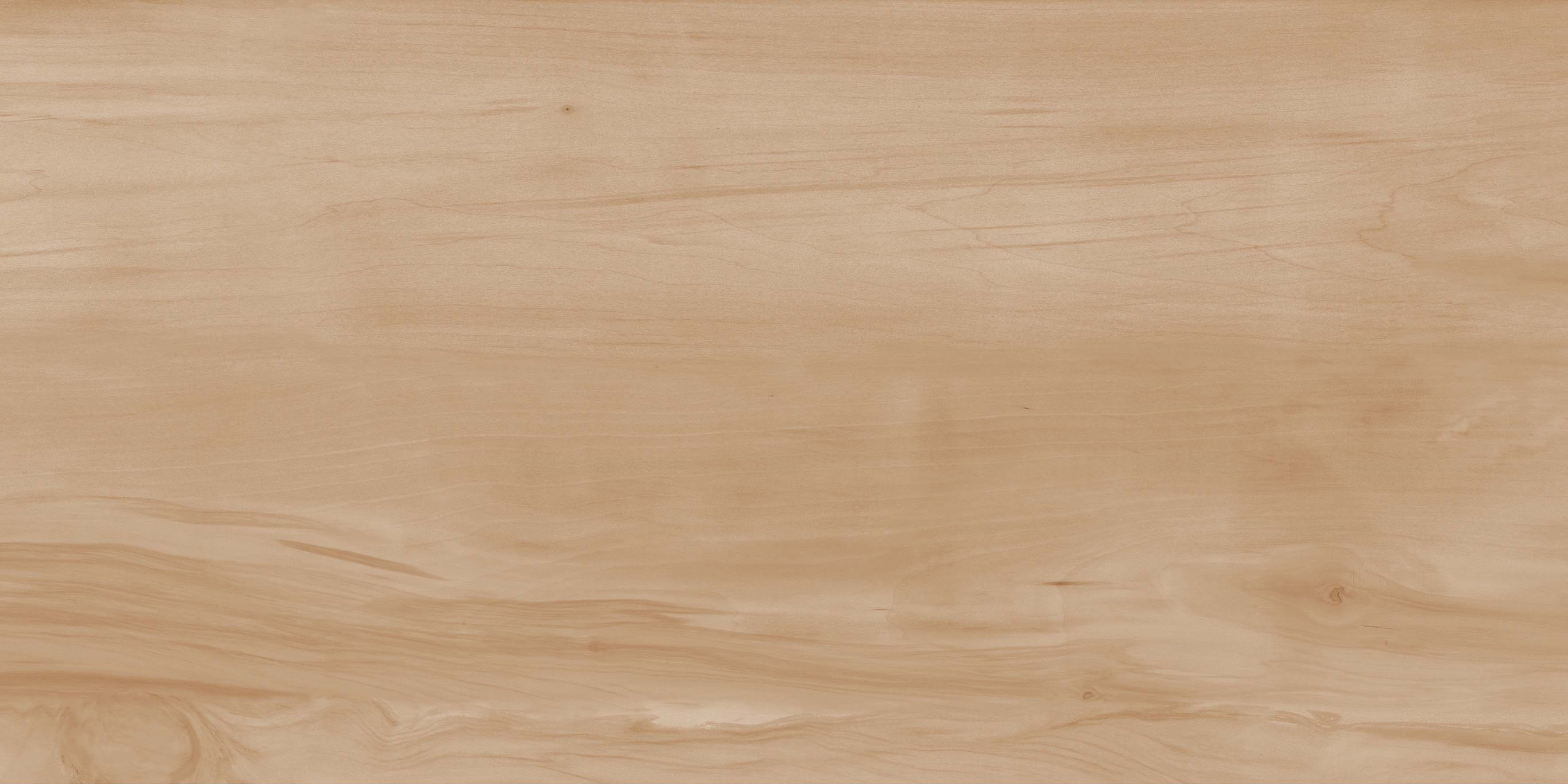 На пол Paint Wood Bone Matt 60x120 - фото 3