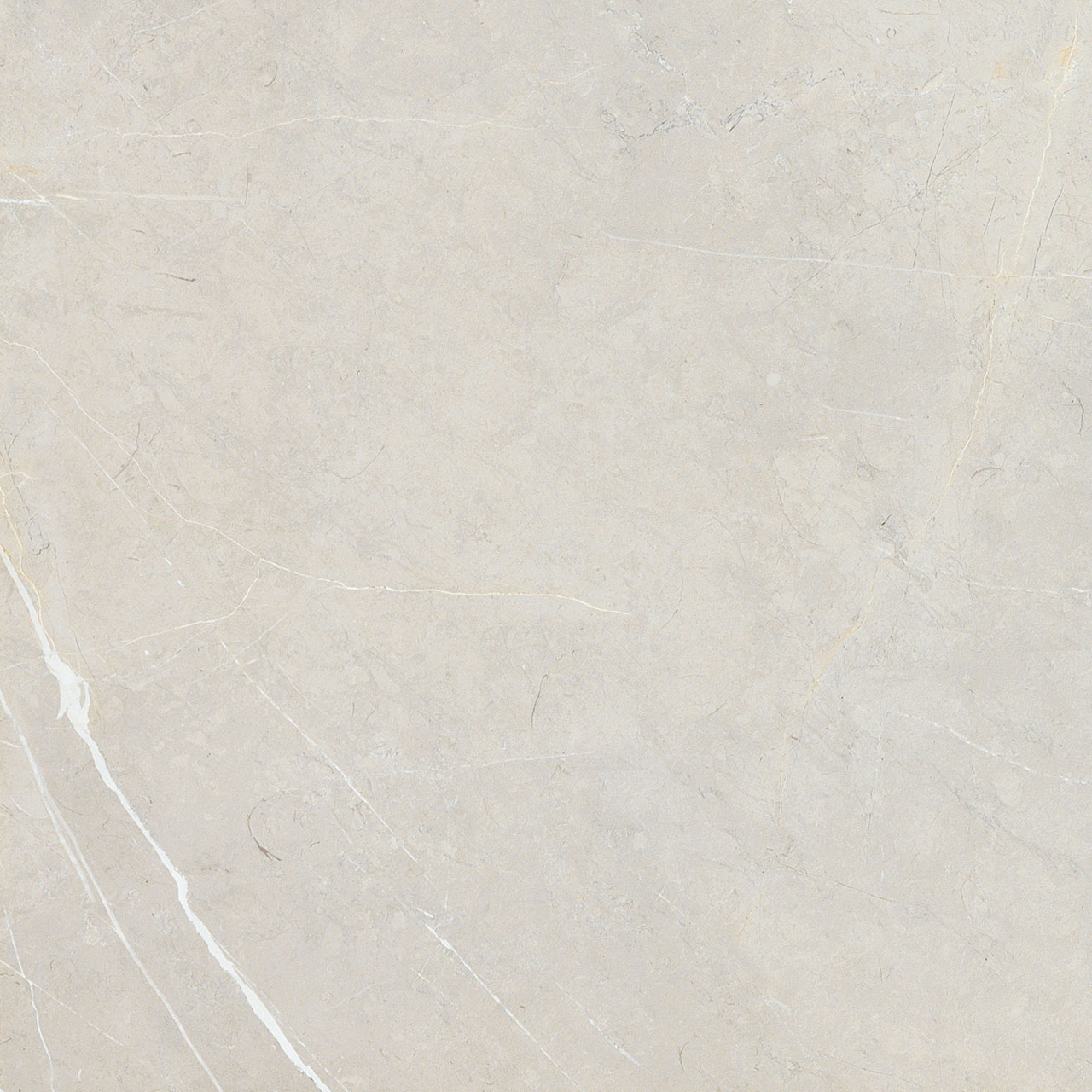 BB6NTT9101P На пол Bright And Shiny BB6NTT9101P - фото 17