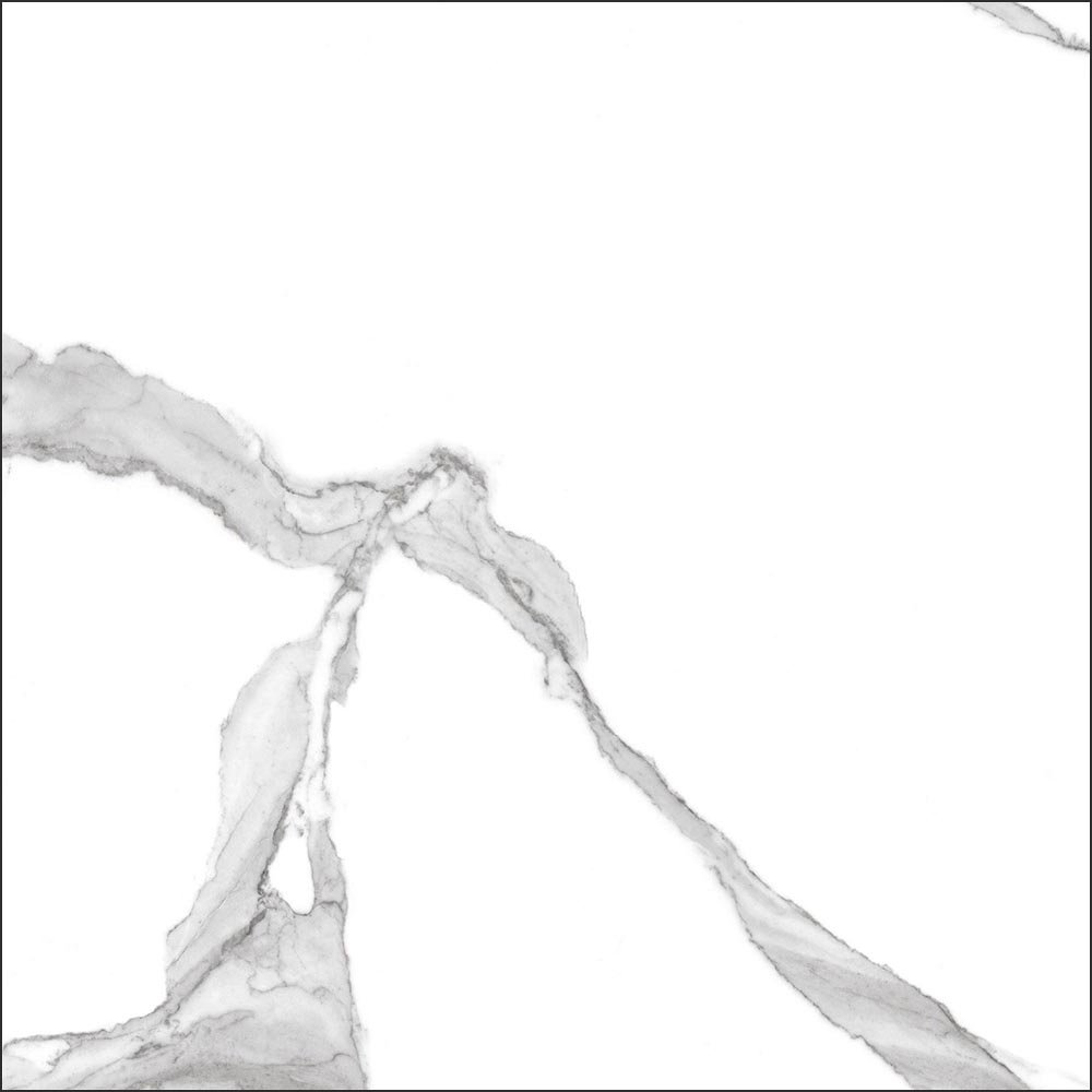 GT60601503MR На пол Anima Белый грес глаз. матовый - фото 7