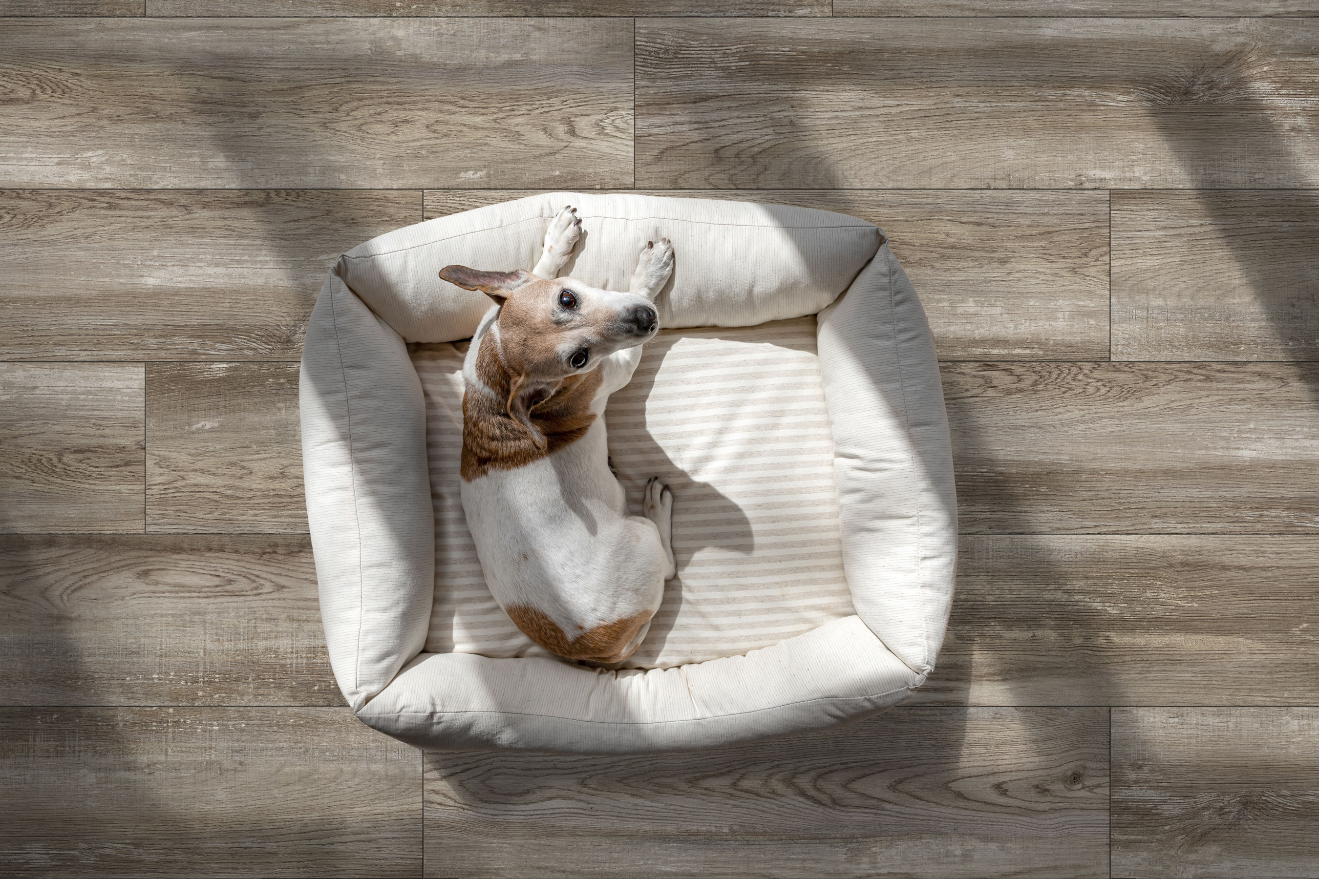 GT208022015MСR На пол Bremen Серо-бежевый 19.8x80 - фото 13