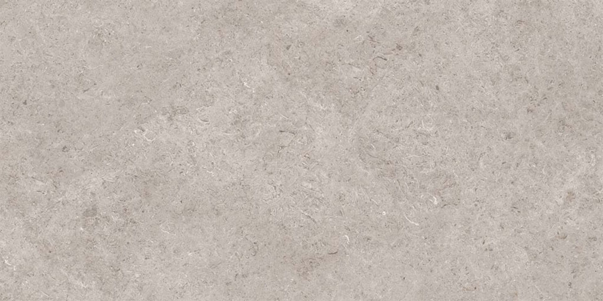 На пол Seashell Natural R10 Carving 60x120 - фото 4