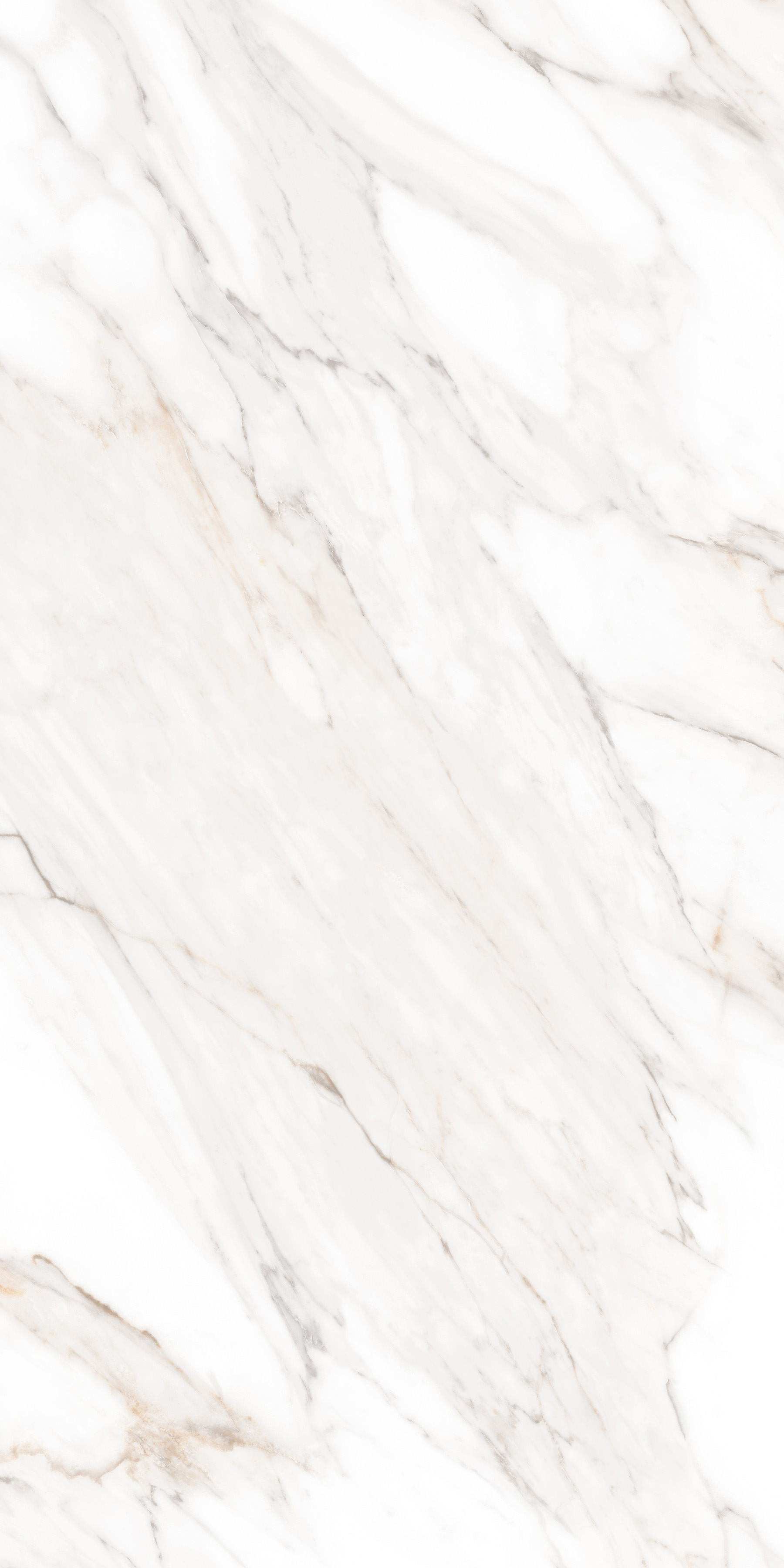 MPL-058630 На пол Simero Calacatta Gold Satin 60x120 - фото 6