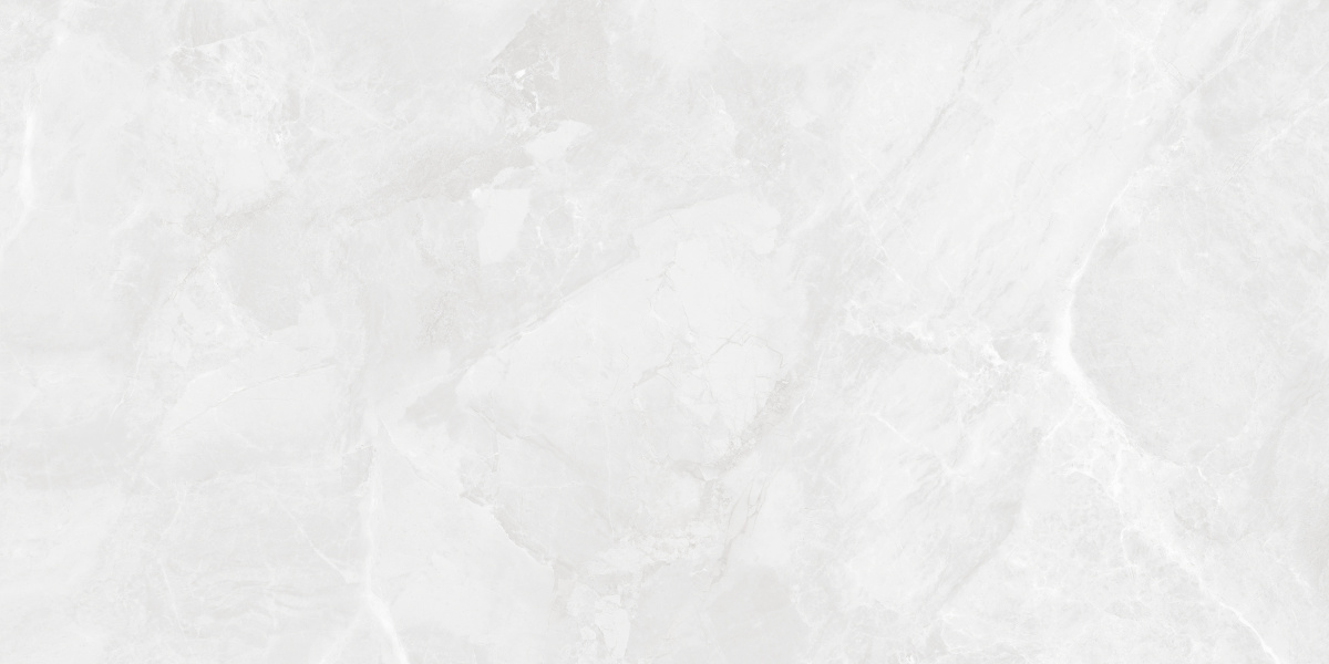 CR6012G0401R На пол Regnum Bianco светло-серый матовый 59.5х119.1 - фото 4