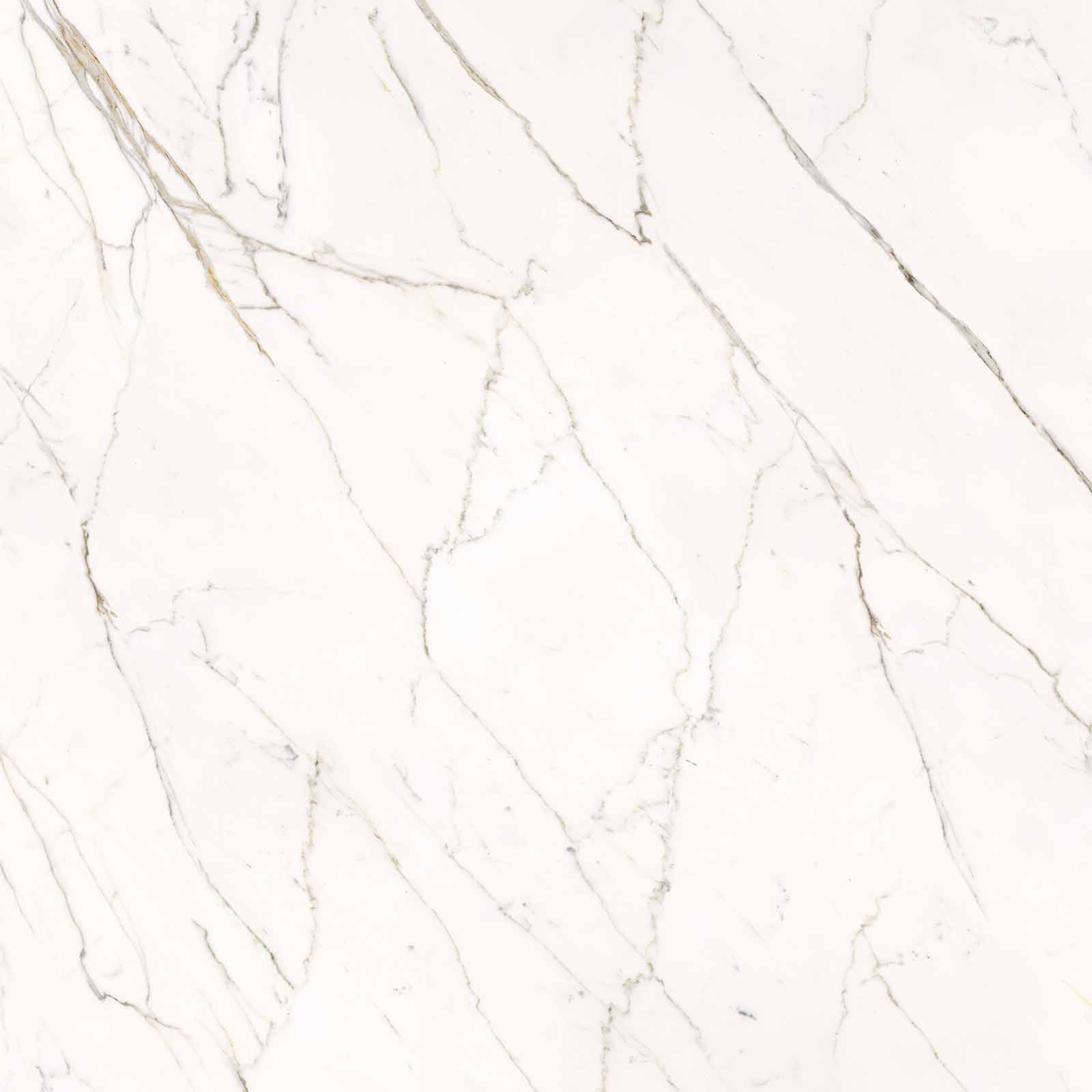 59A2 На пол Elements Lux Calacatta Statuarietto Lappato RT 120x120 - фото 3