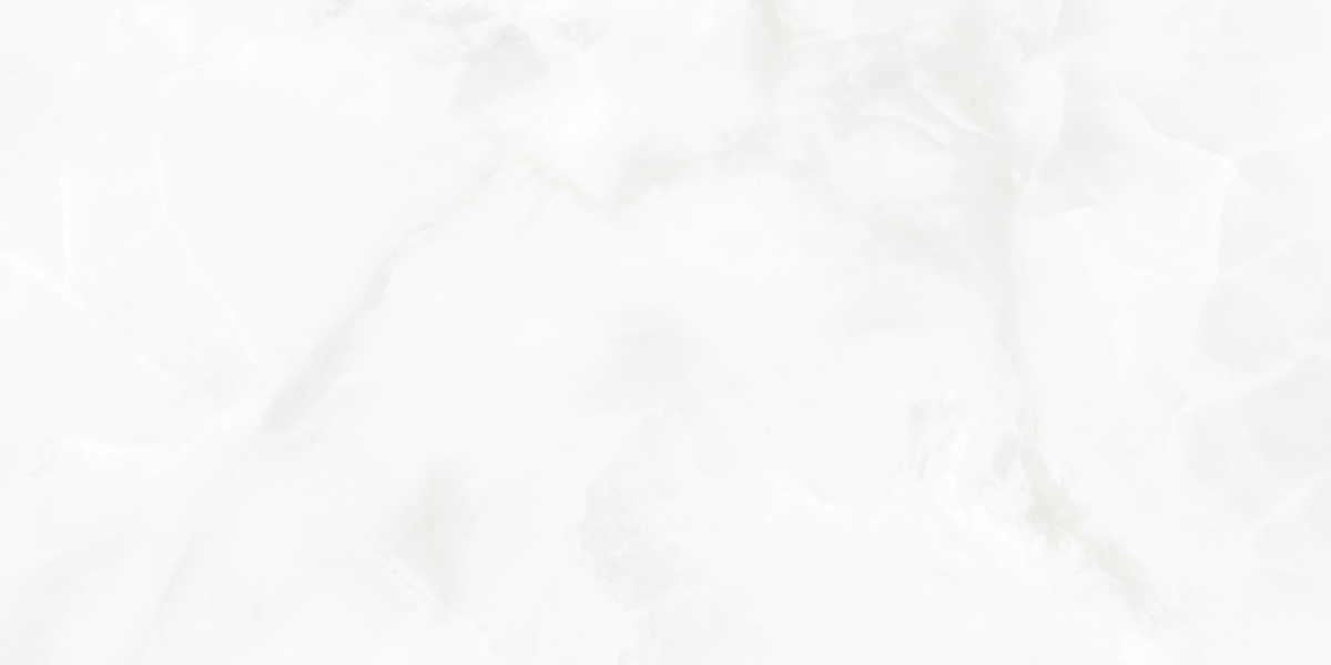 LP6012G0541R На пол Bernini Bianco белый глянцевые чернила 59.5х119.1 - фото 5