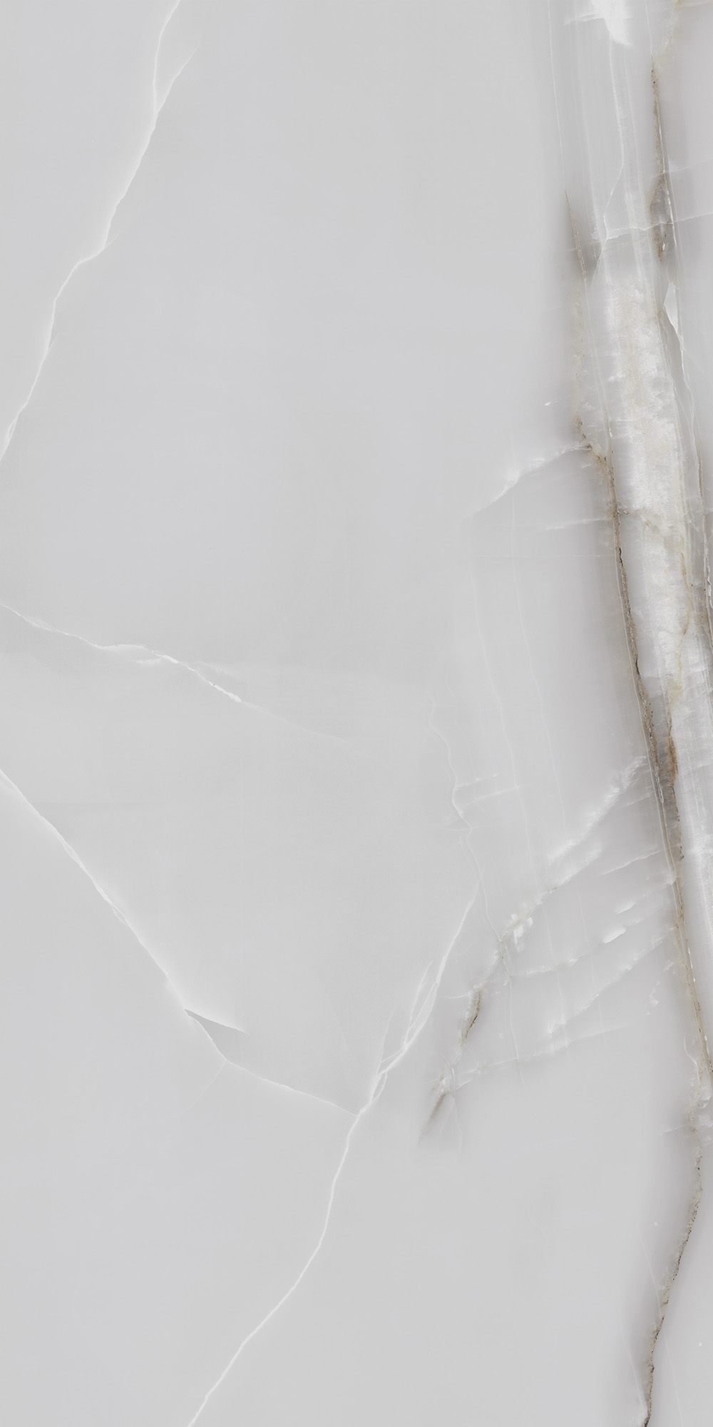 FP1025-A На пол Onyx Line Grey Full Polished 60x120 - фото 5