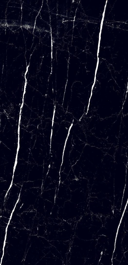 MOG602/PS_NC/60x120x9R/GW На пол Marble Black полированный 60x120 - фото 3