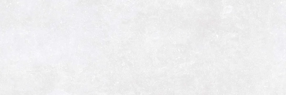 R0001632 На стену Bleuemix White 40x120 - фото 5