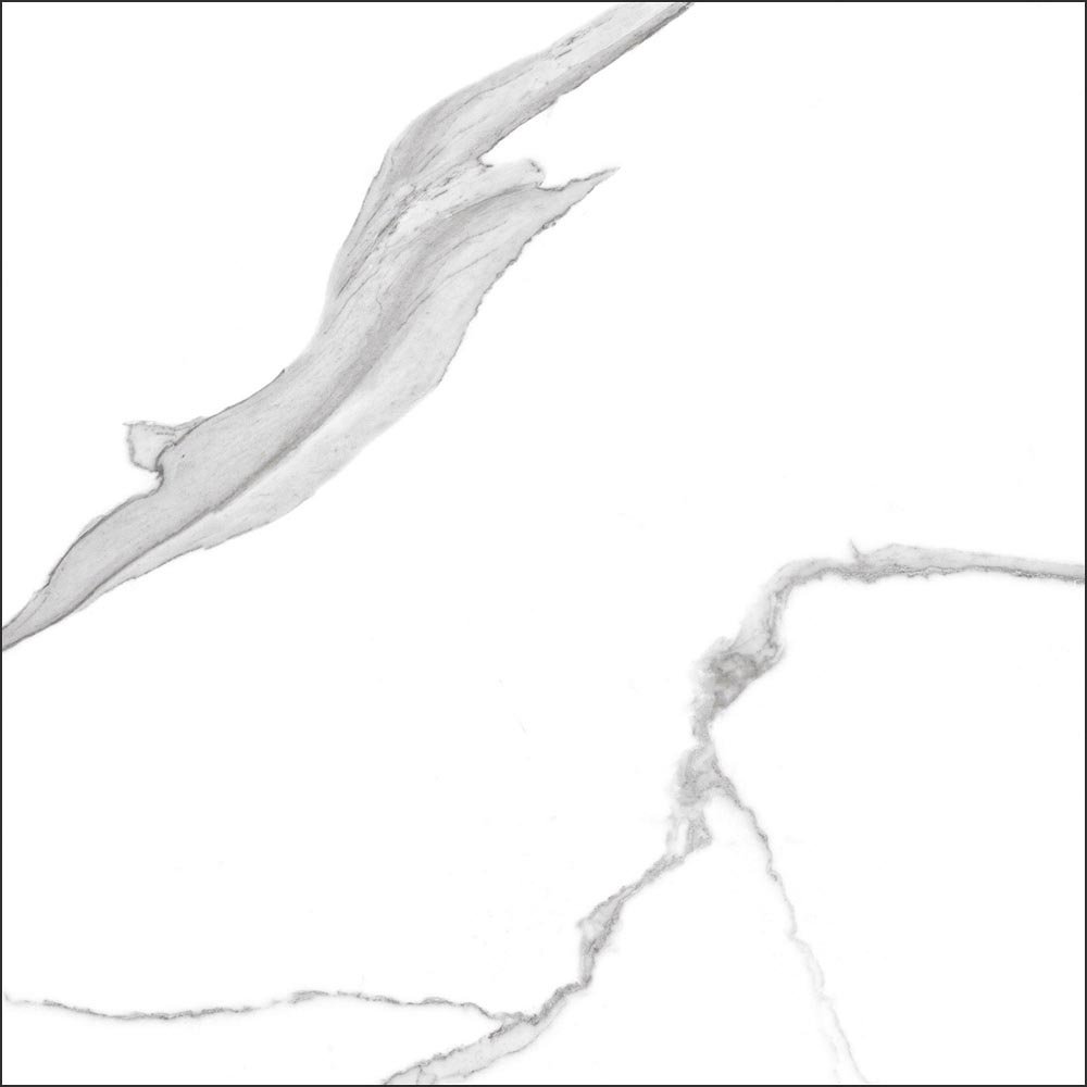 GT60601503MR На пол Anima Белый грес глаз. матовый - фото 10