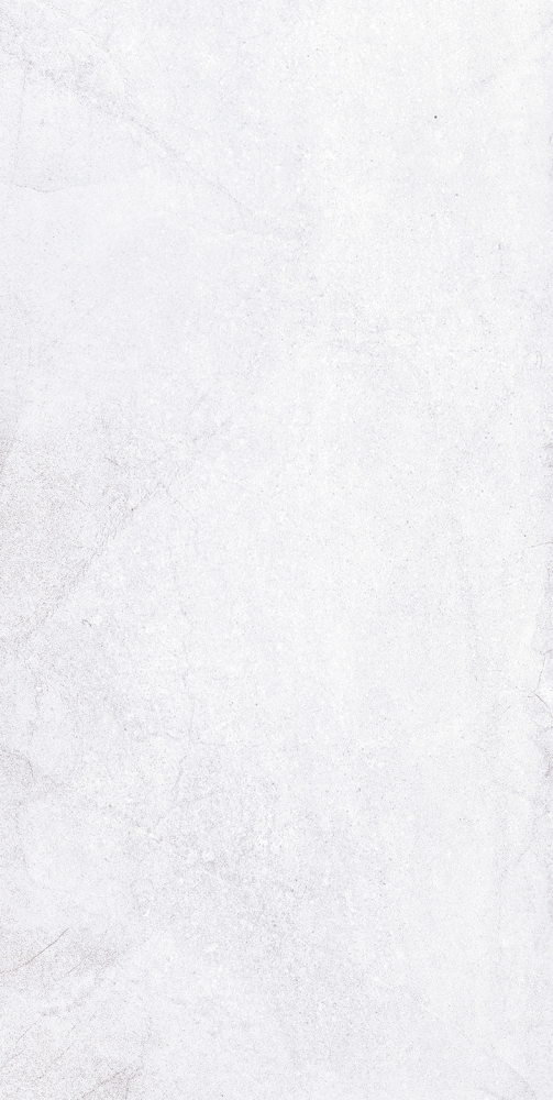 1041-0245 На стену Кампанилья Серая