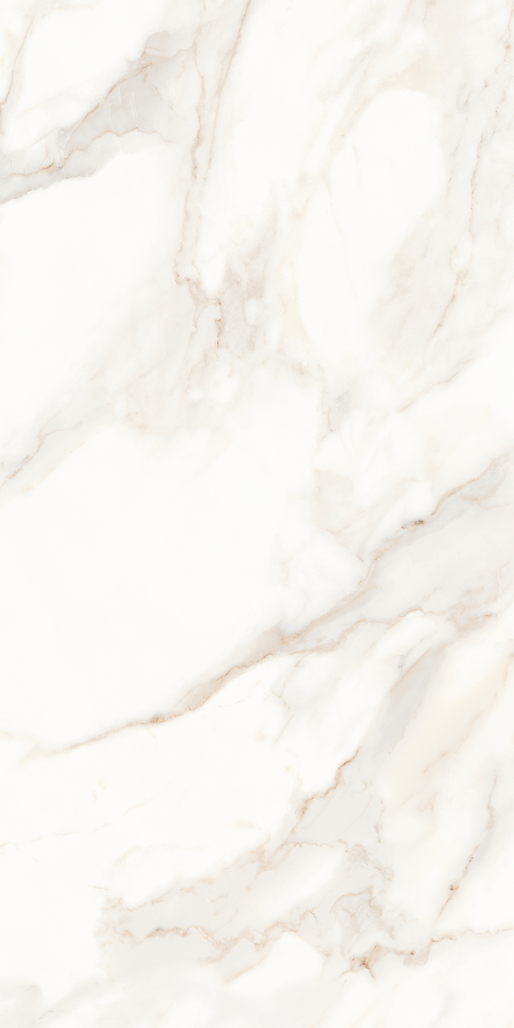 MPL-058622 На пол Calacatta Calacatta Satin 60x120 - фото 5