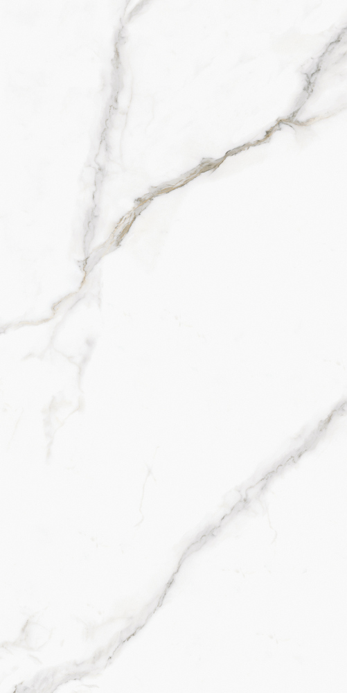 GT120607803PR На пол Monza Белый PR 60x120 - фото 2