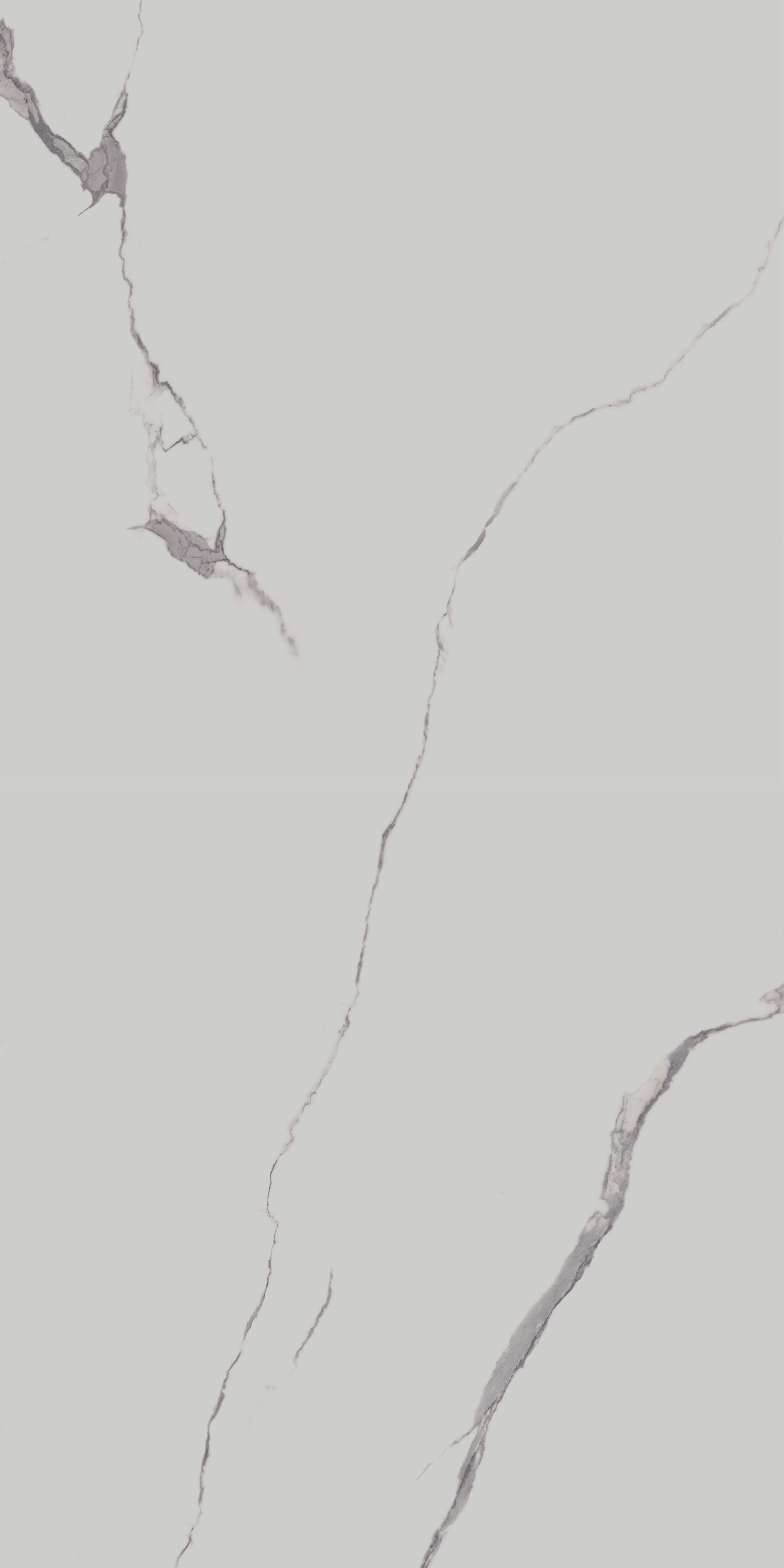 SG572190R Напольный Монте Тиберио Белый матовый обрезной 80x160x0.9 - фото 2