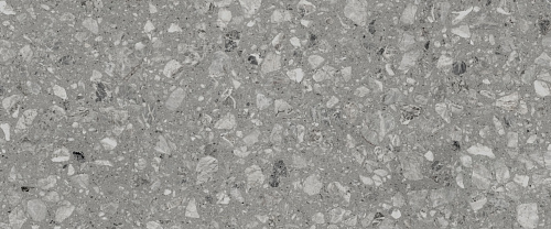 010100001544 На стену Terrazzo Terrazzo grey серый 01 25х60