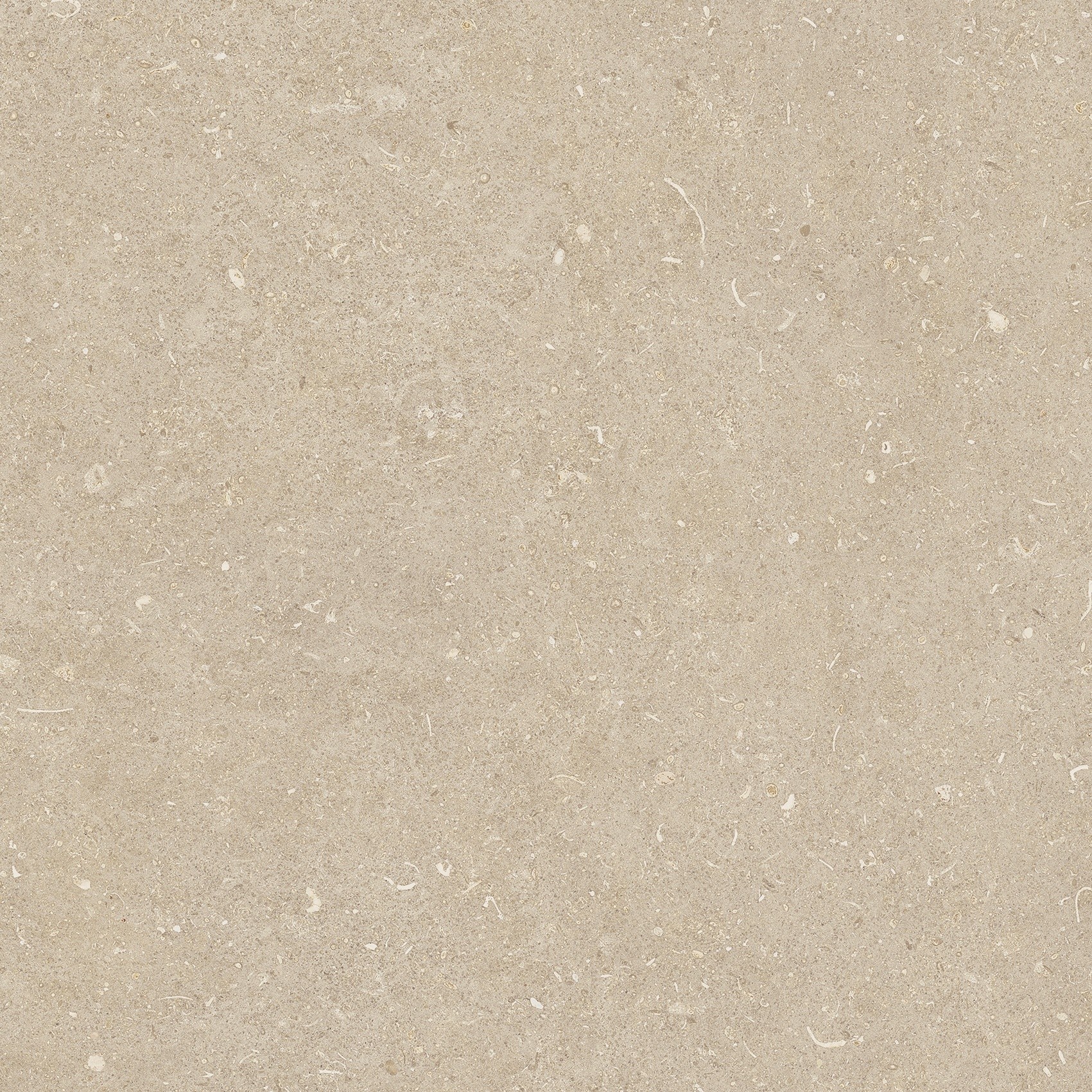 785485 На пол Rinascenza Arena Conchiglia Matte 60x60