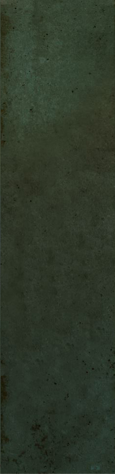 12-00-4-29-04-85-2563 На стену Magic Green 5.85x24 - фото 6