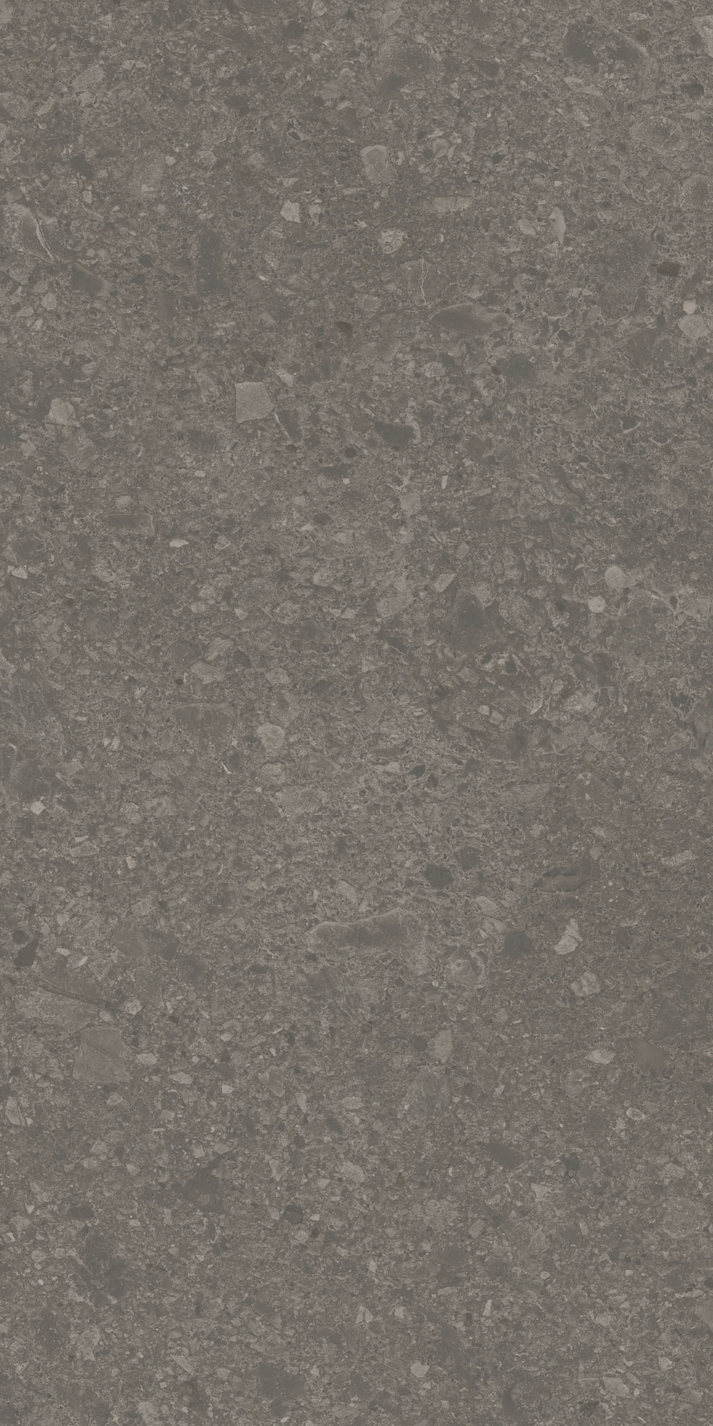 DD508120R На пол Чеппо ди Гре Коричневый матовый обрезной 60x119.5x0.9 - фото 2