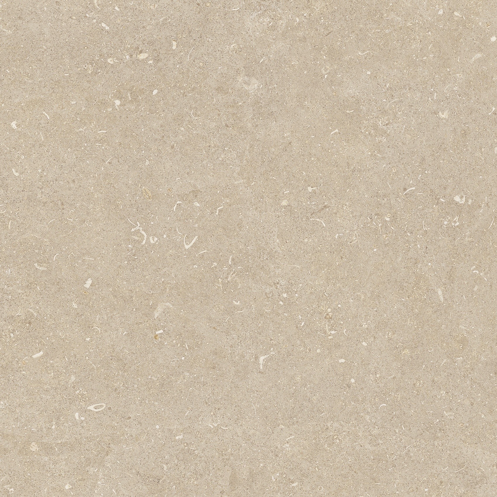 785497 На пол Rinascenza Arena Conchiglia Grip 60x60 - фото 6