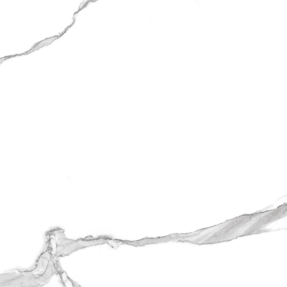 GT60601503PR На пол Anima Белый полированный 60x60 - фото 9