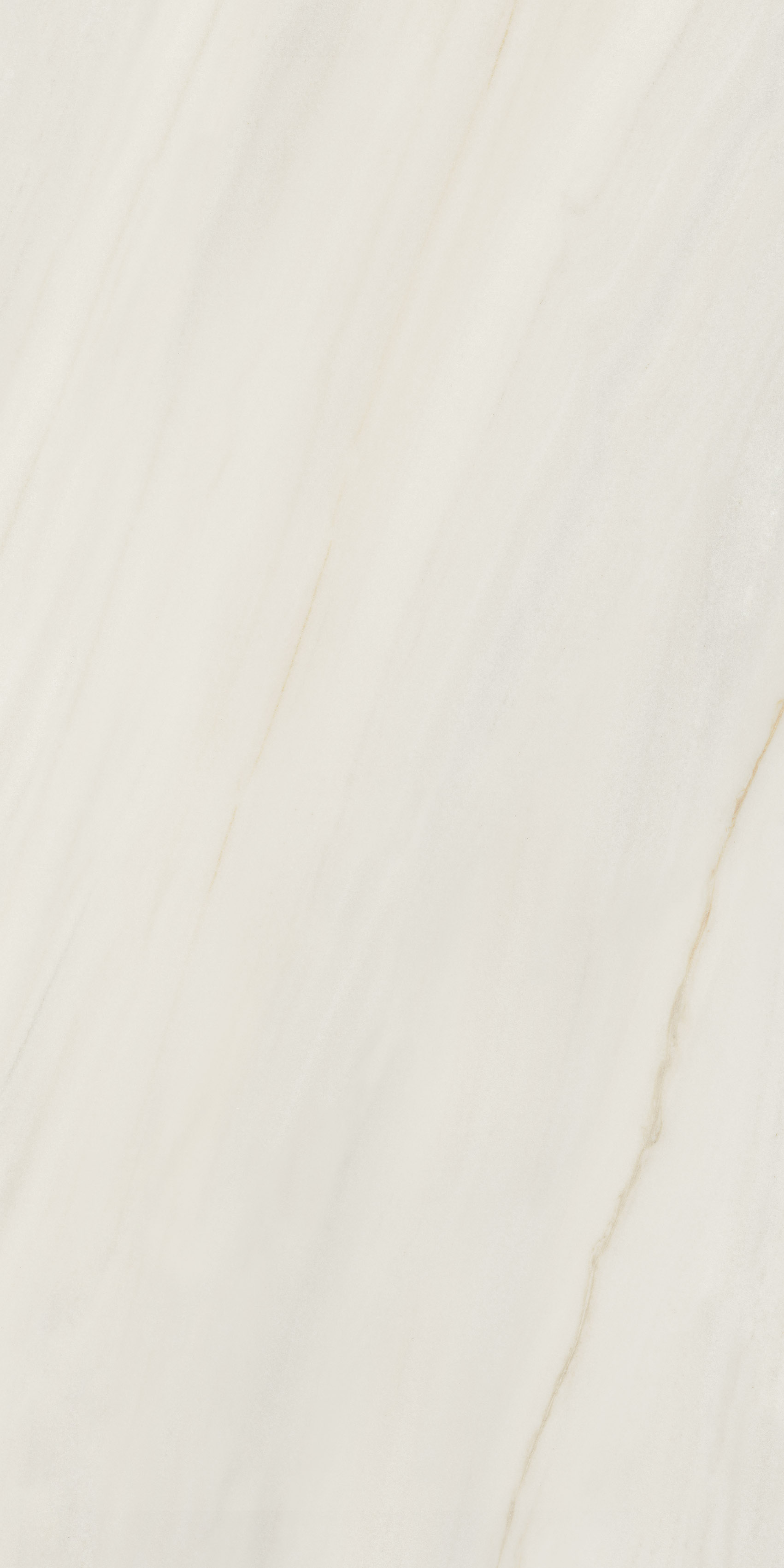 AIAO На пол Anima Wonder Snow Liscio Matt 60x120 - фото 3