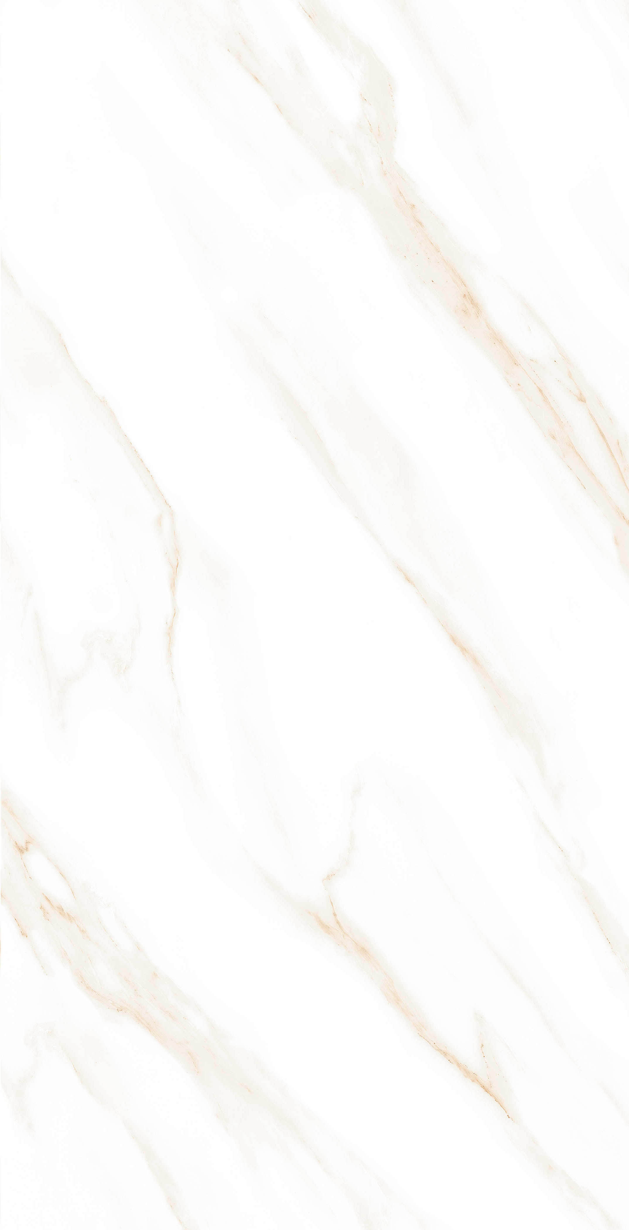 MOG102/PS_NC/60x120x9R/GW На пол Marble MOG102 White 120x60 Полированный Рект. - фото 4