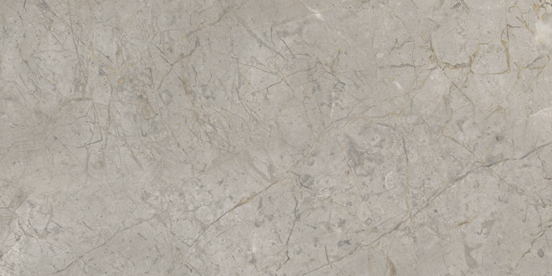 2ASK На пол Elements Lux Silver Grey Silk RT 60x120 - фото 5