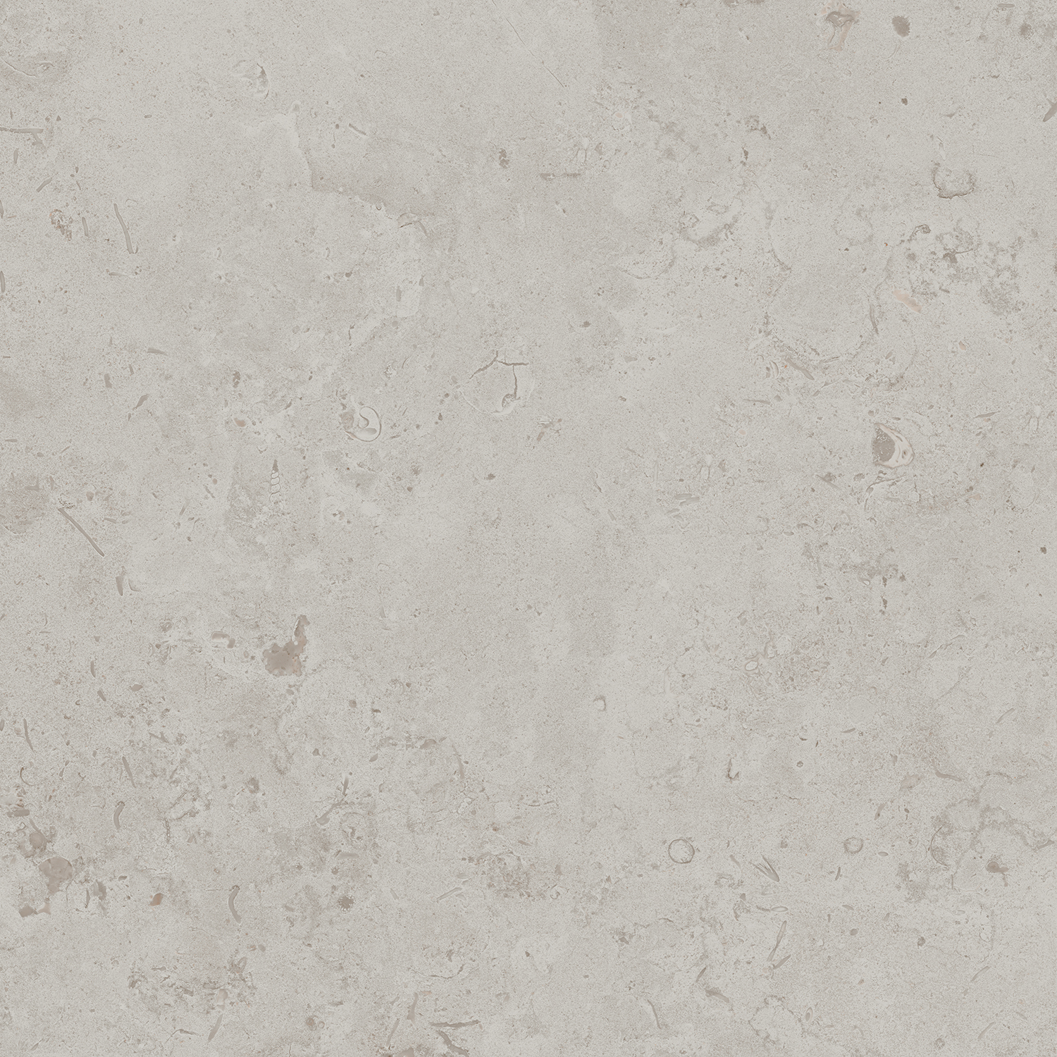 DD641020R На пол Про Лаймстоун Серый светлый натуральный 9мм 60х60 - фото 3