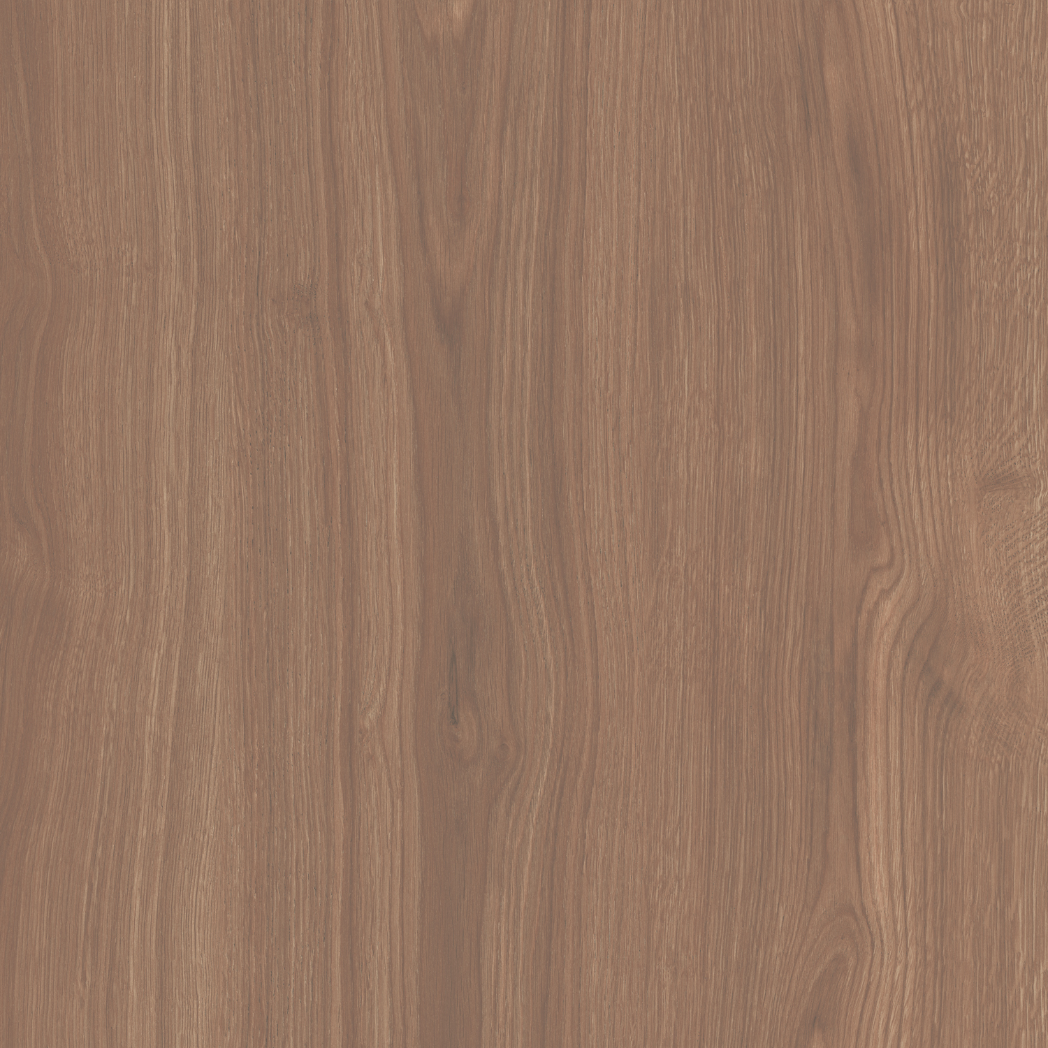 SG644020R На пол Альберони Коричневый матовый обрезной 60x60x0.9 - фото 5