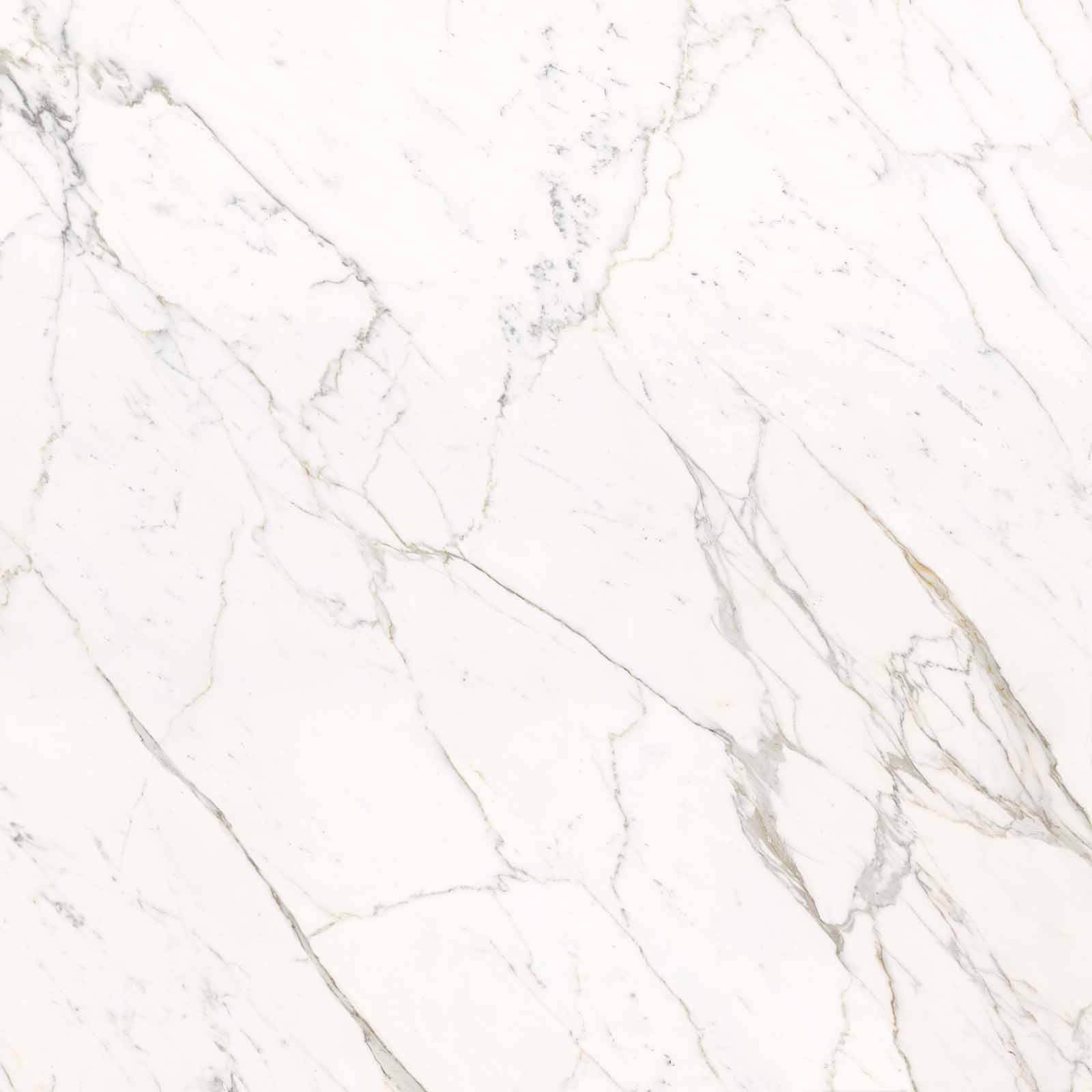 59A2 На пол Elements Lux Calacatta Statuarietto Lappato RT 120x120 - фото 5