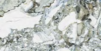 K951846LPR01VTEP На пол CityMarble Амазония Мультиколор 7ЛПР R9 120x60 - фото 15