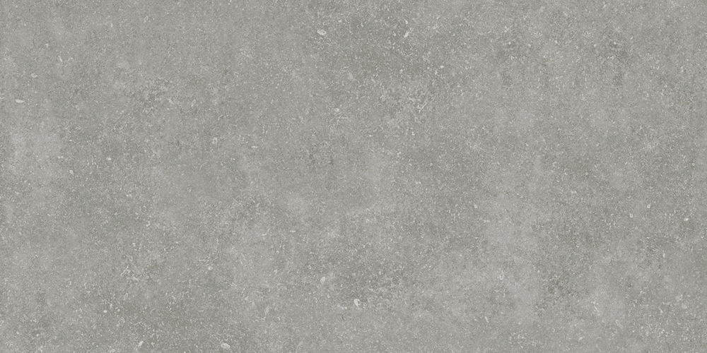 ID9062b054SR На пол Идальго Граните Глория Gray / Серый SR 120x60 - фото 5