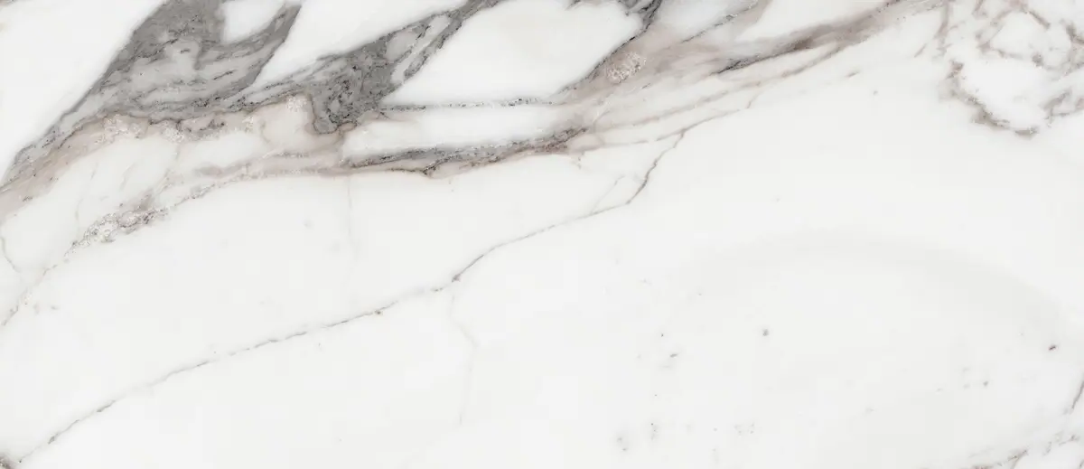 769971 На пол Les Origines De Rex Argent Matt 6mm 120x280 R - фото 2