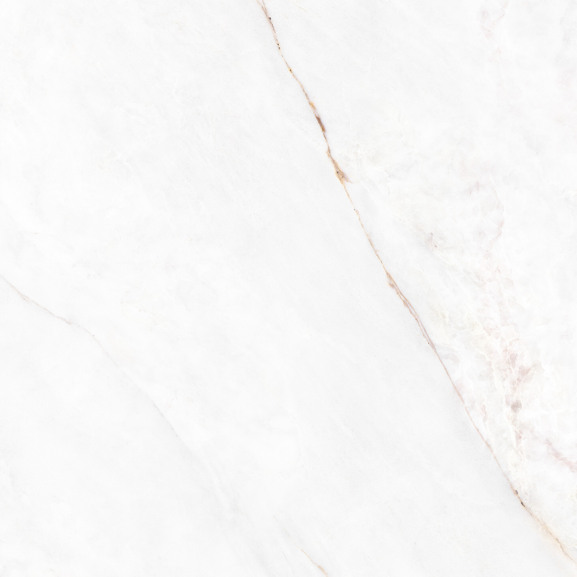 41431 На пол Museum Dahlia White SP/100X100X0.8/R 100x100 - фото 15