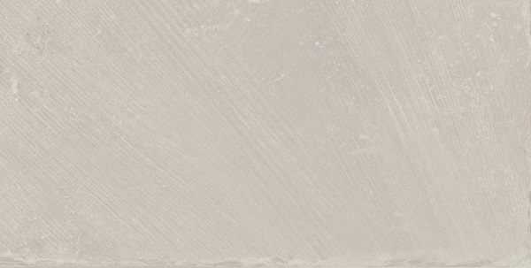 19068 На стену Пьяцца Серый светлый матовый 20x9.9