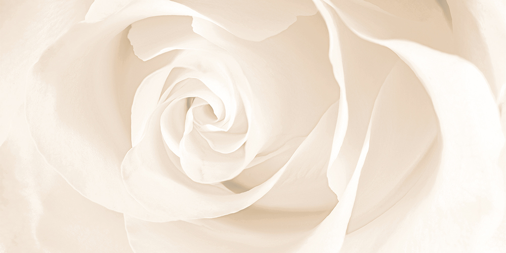 EC2L011 Декор Effecta Бежевый цветы